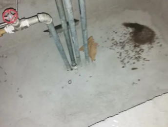 湛江卫生间测漏水价格明细